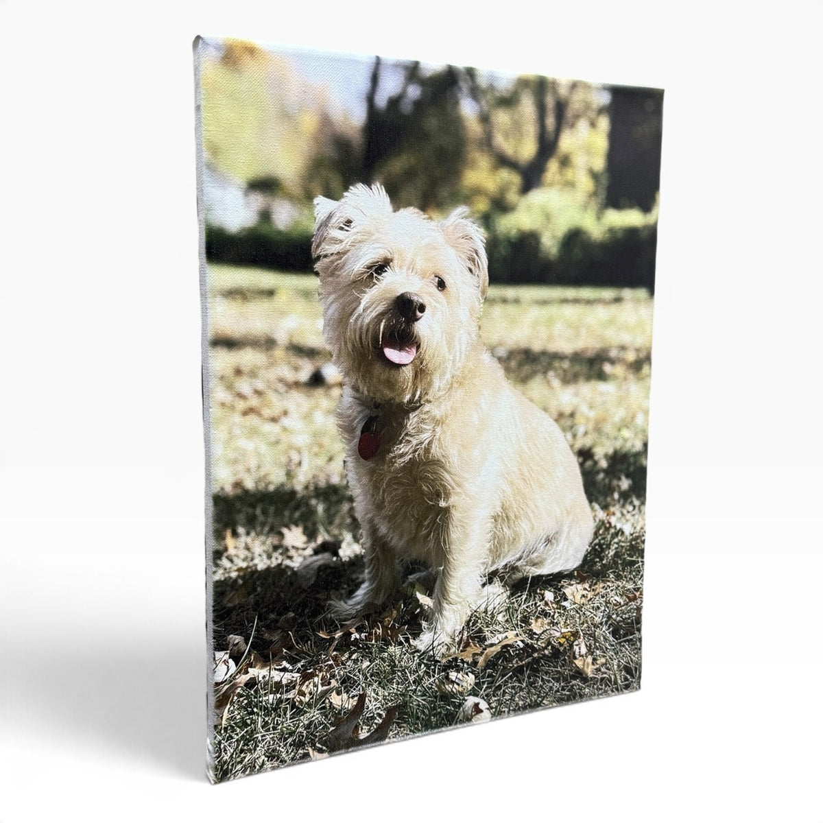 Custom 16x20 Photo Canvas Print - Personalized Stretched Canvas Wall Art