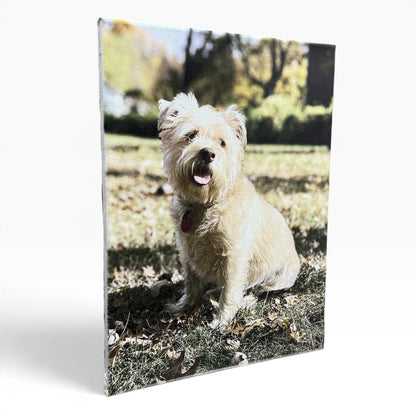 Custom 16x20 Photo Canvas Print - Personalized Stretched Canvas Wall Art