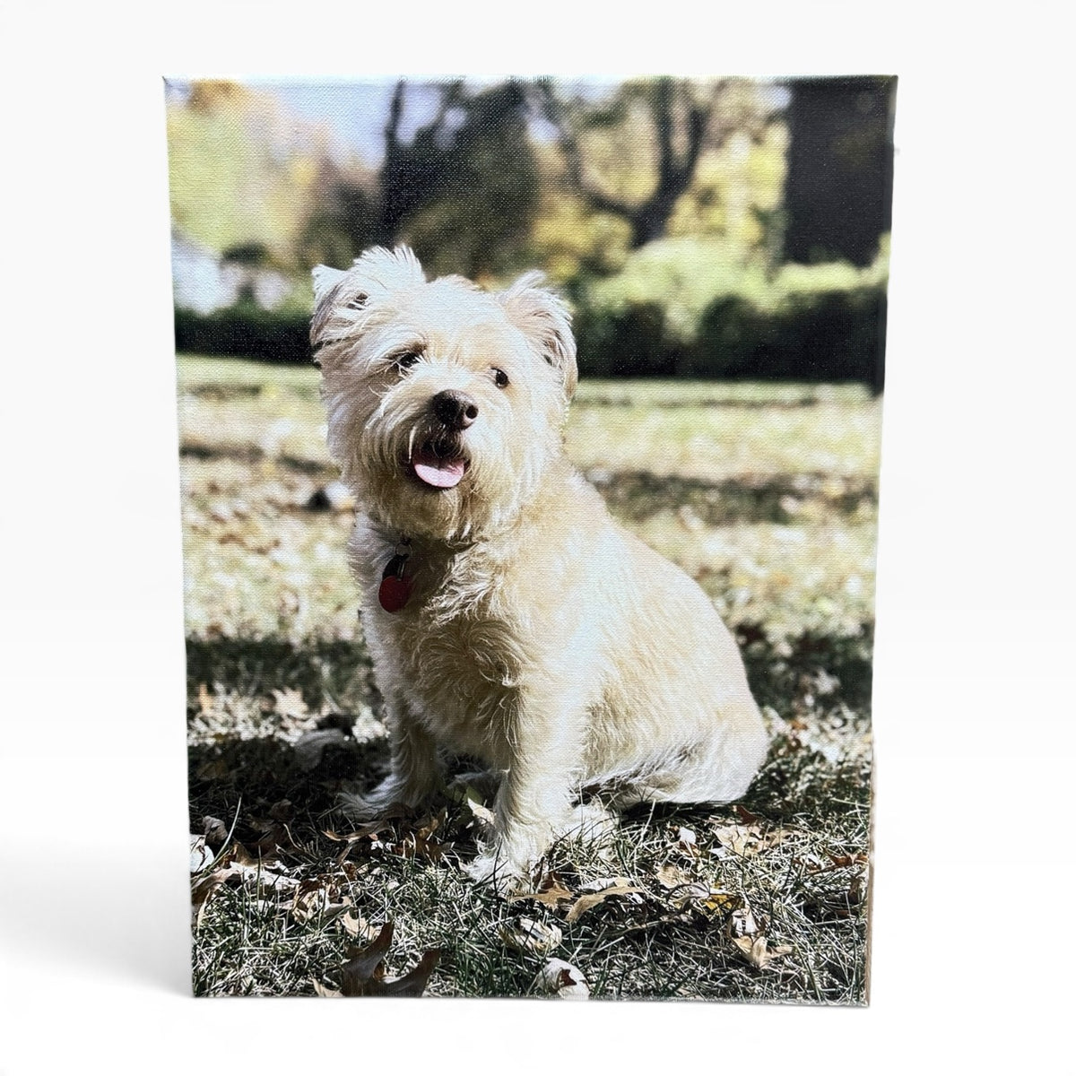 Custom 16x20 Photo Canvas Print - Personalized Stretched Canvas Wall Art