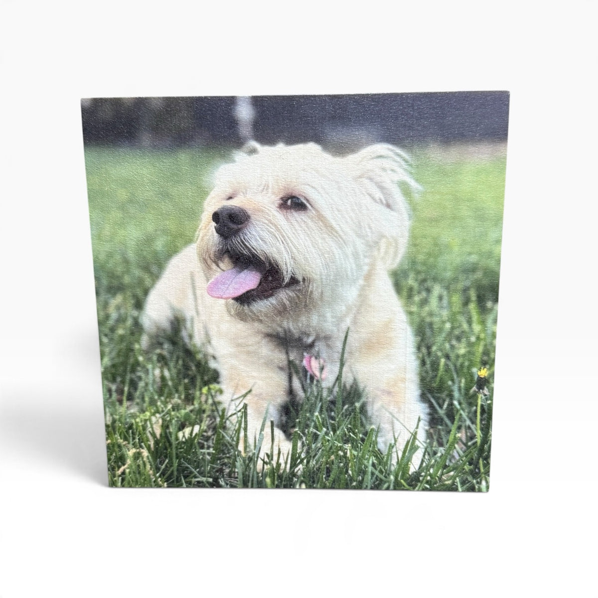 Personalized 6x6 Wood Photo Block - Custom Picture on Natural Wood