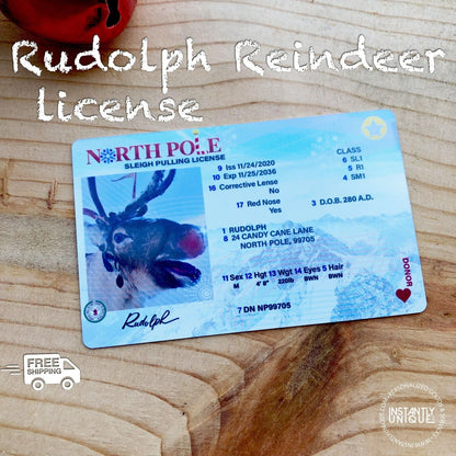 Rudolph Reindeer Sleigh Card for Kids